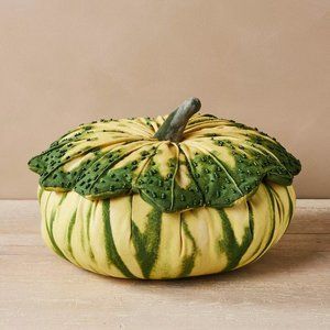 NIB John Derian Squash Pillow